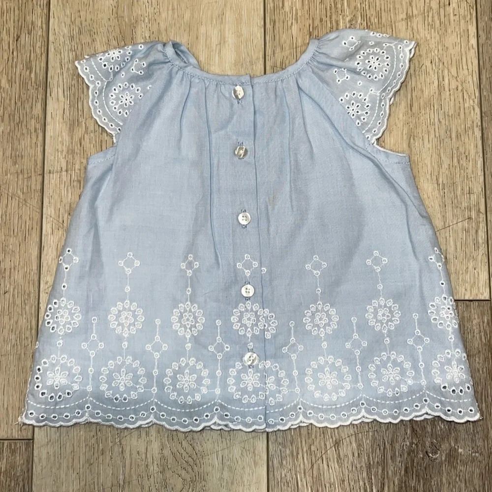 baby girl Lined Floral Embroidered dress